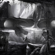 Illustration for article titled Guild Wars 2, Your Art is Simply Beautiful